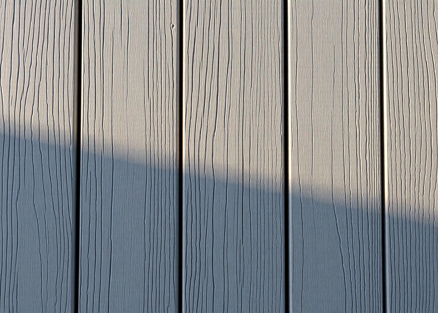 Siberian Larch